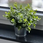 Koenigshof Διαμέρισμα *