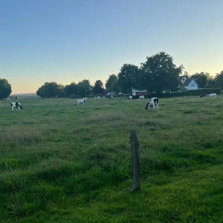 Lejlighed Koenigshof