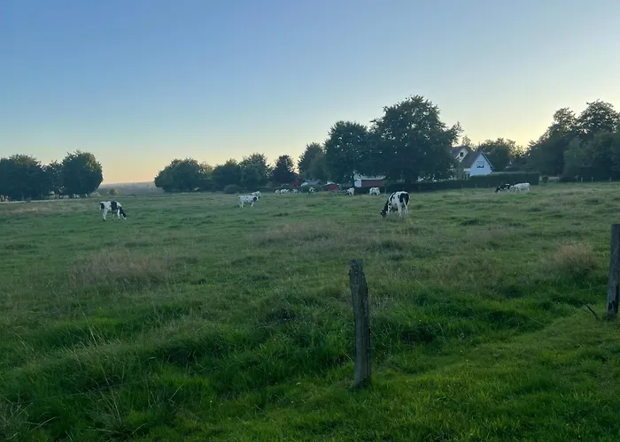 Lejlighed Koenigshof